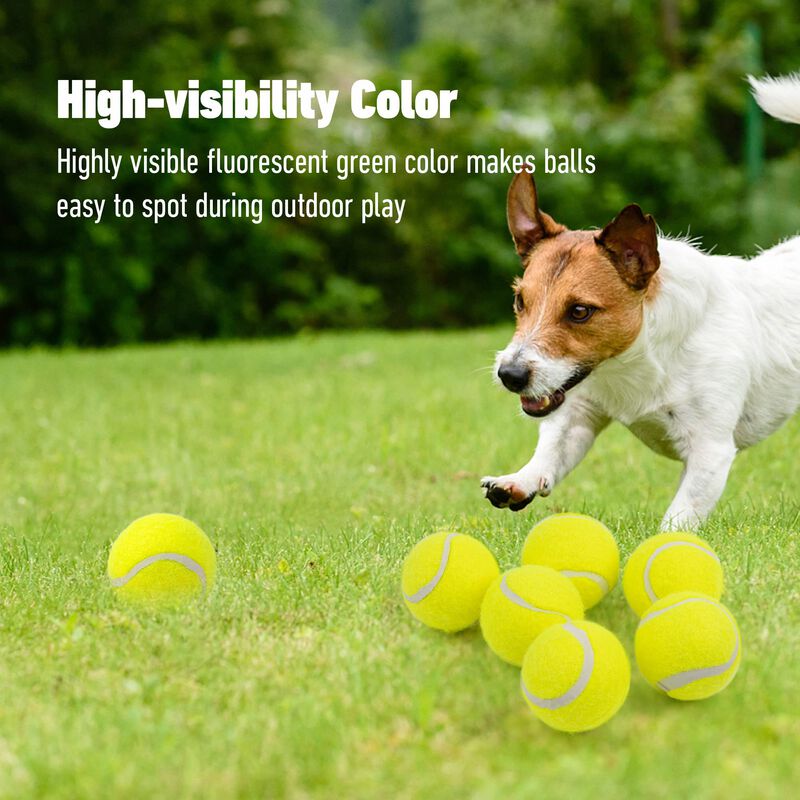 Lanzador Autom&aacute;tico De Pelotas Petprime Dog, Ju... image number null
