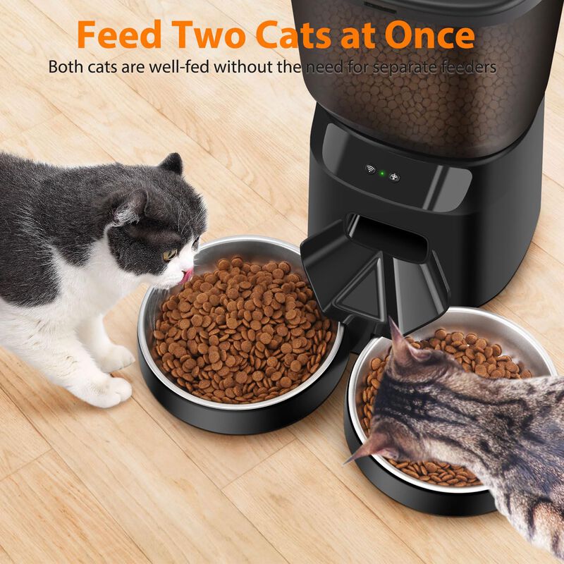 Comedero Para Gatos Kataliclab 5l Wifi Doble Ta... image number null