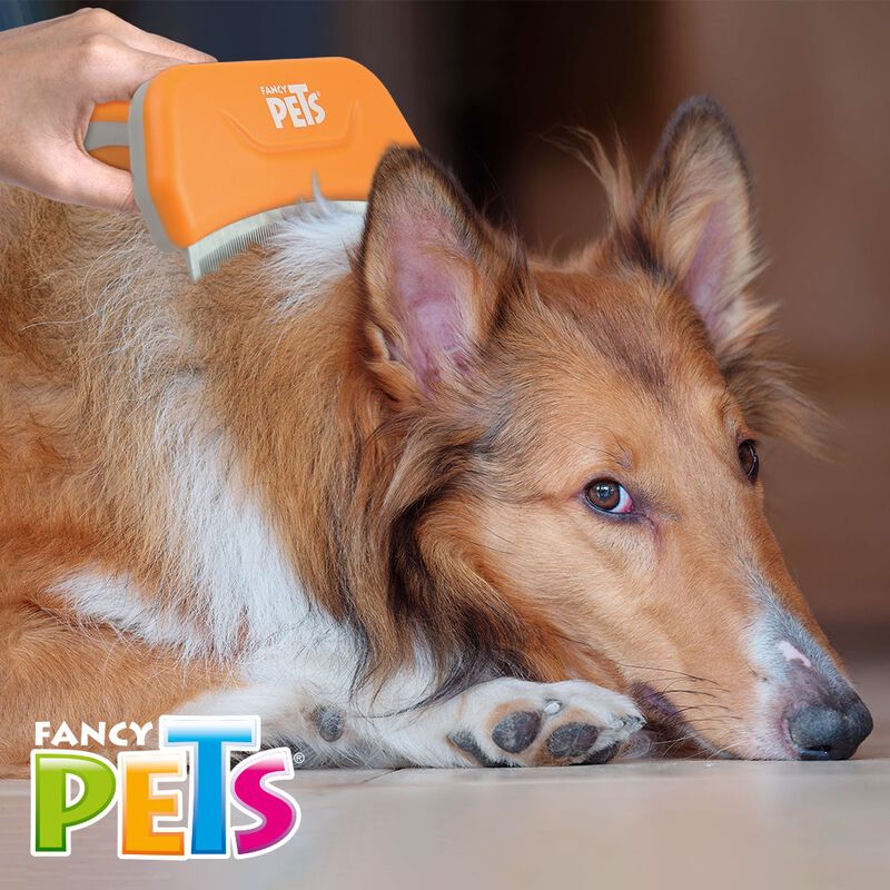 Fancy Pets. Deslanador para Perro Curvo Grande image number null