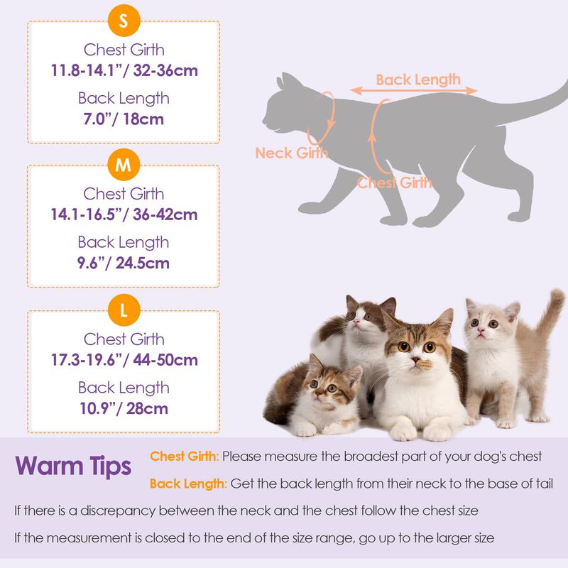 Traje De Recuperaci&oacute;n Para Gato Sunfura &ndash; Mono ... image number null
