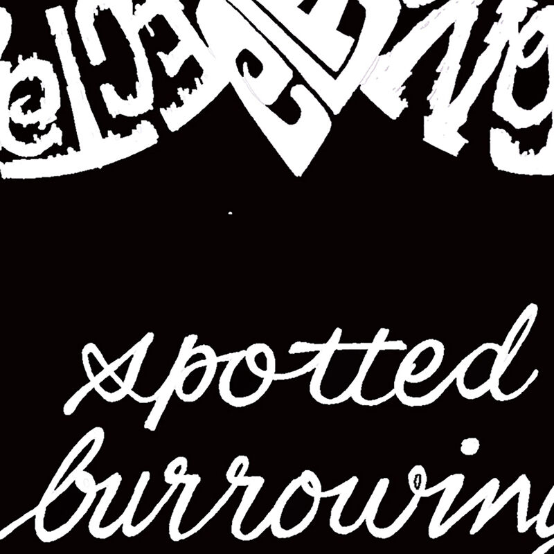 Camiseta Word Art Para Ni&ntilde;o - B&uacute;ho - Granate image number null