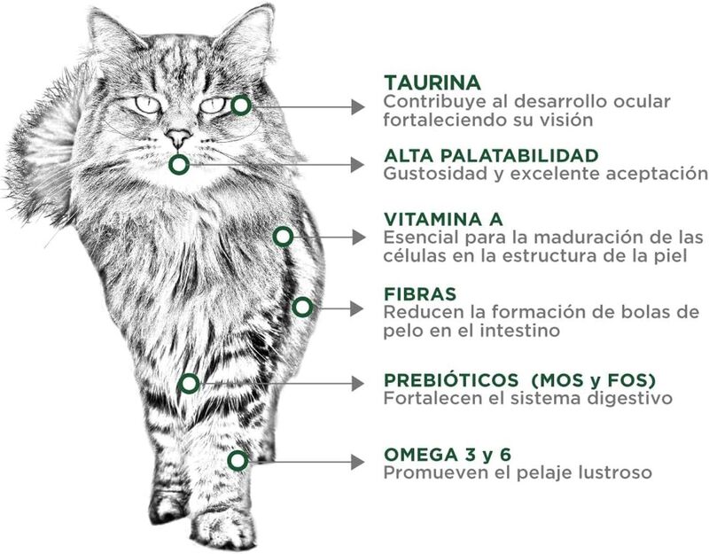 Nupec Felino Hairball 1.5 kg image number null