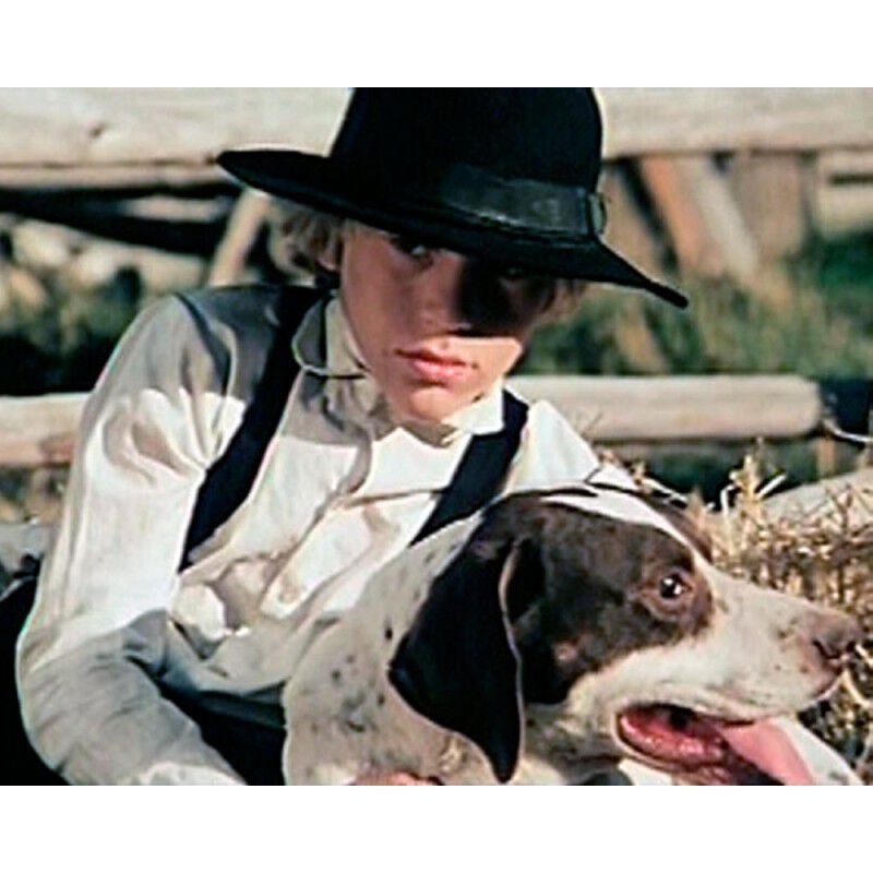 Herbstst&uuml;rme [dvd] (1976) The Winds Of Autumn image number null