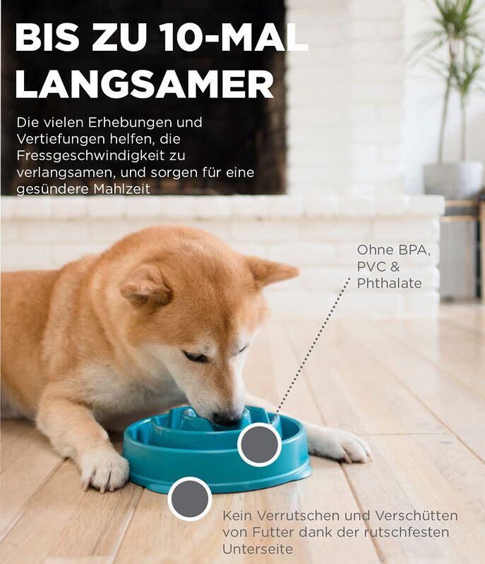 Dog Bowl Outward Hound Fun Feeder Slo Bowl, Ali... image number null
