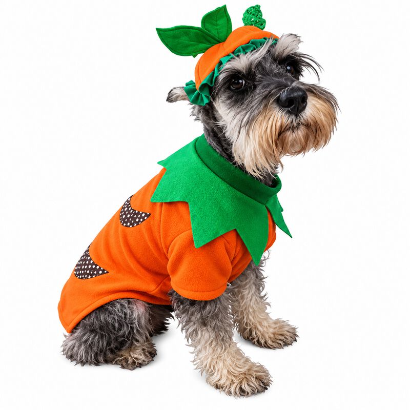 Disfraz Calabaza Perro Halloween Talla 00 Masco... image number null