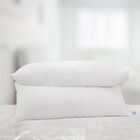 Set 2 Almohadas Almoda Comodin Microgel Con Fundas