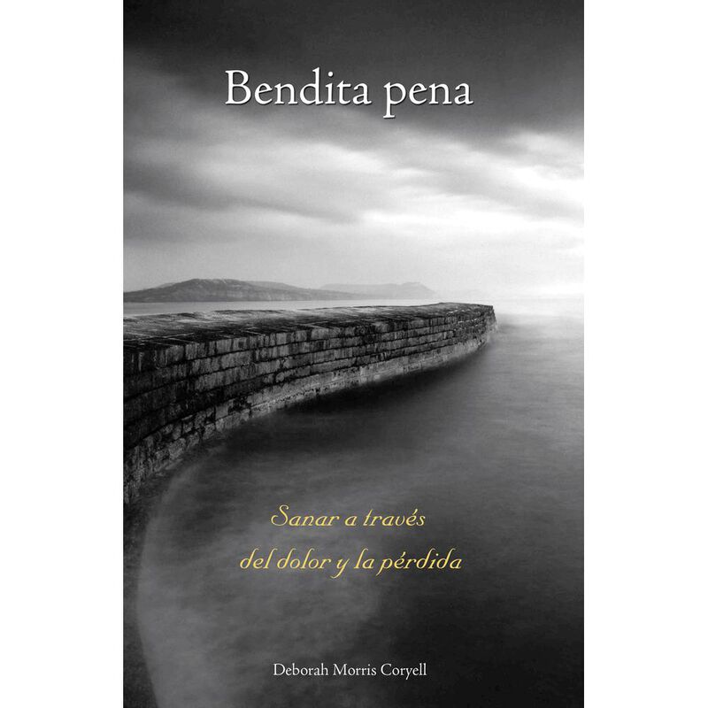 Bendita pena: Sanar a Trav&eacute;s del Dolor Y La P&eacute;r... image number null