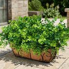 Plantas Artificiales Ivydale 12 Paquetes Uv Resistentes