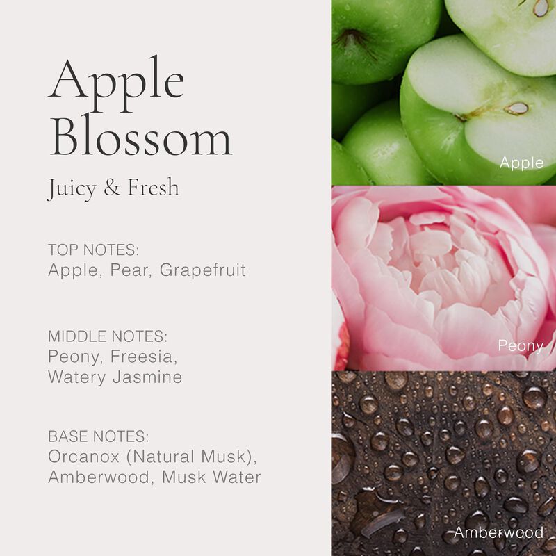 Perfume Clean Classic Apple Blossom 60 Ml Para ... image number null