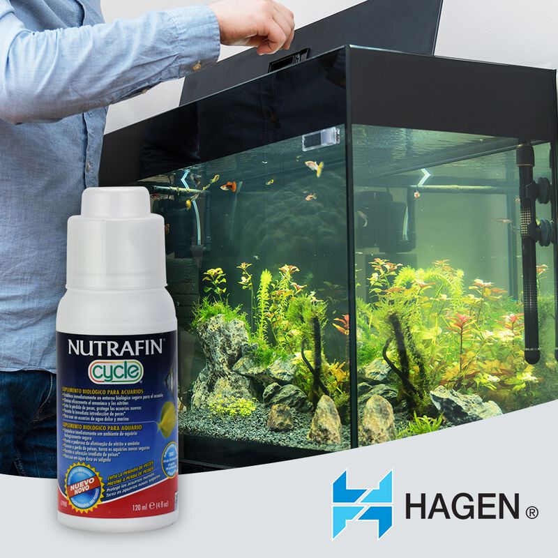 Hagen Nutrafin Cycle Suplemento Biológico Para ... image number null
