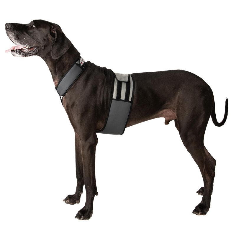 Chaleco Refrigerante Para Perro Coolerdog Xl 86... image number null