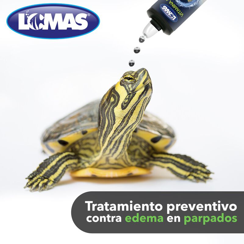 Lomas Vitamina A Tratamiento Preventivo Contra ... image number null