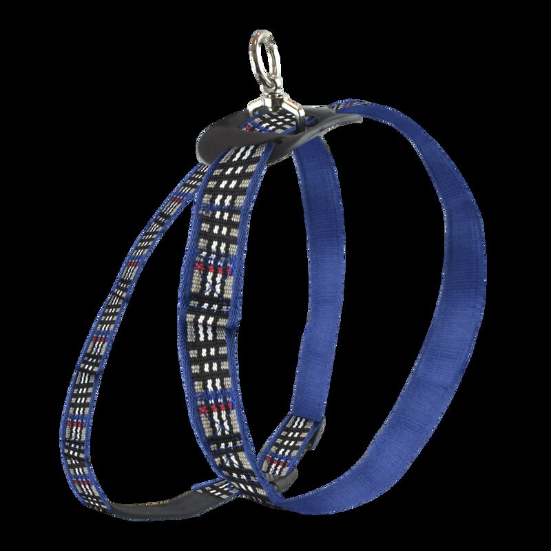 Fancy Pets Arnés Berrydog Color Azul Tamaño Gra... image number null