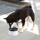 Bebedero Para Perro o Gato