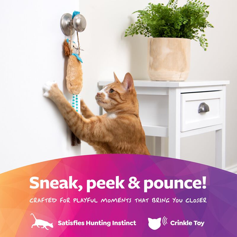 Juguete Para Gato Smartykat Loopy Lion Con Hier... image number null