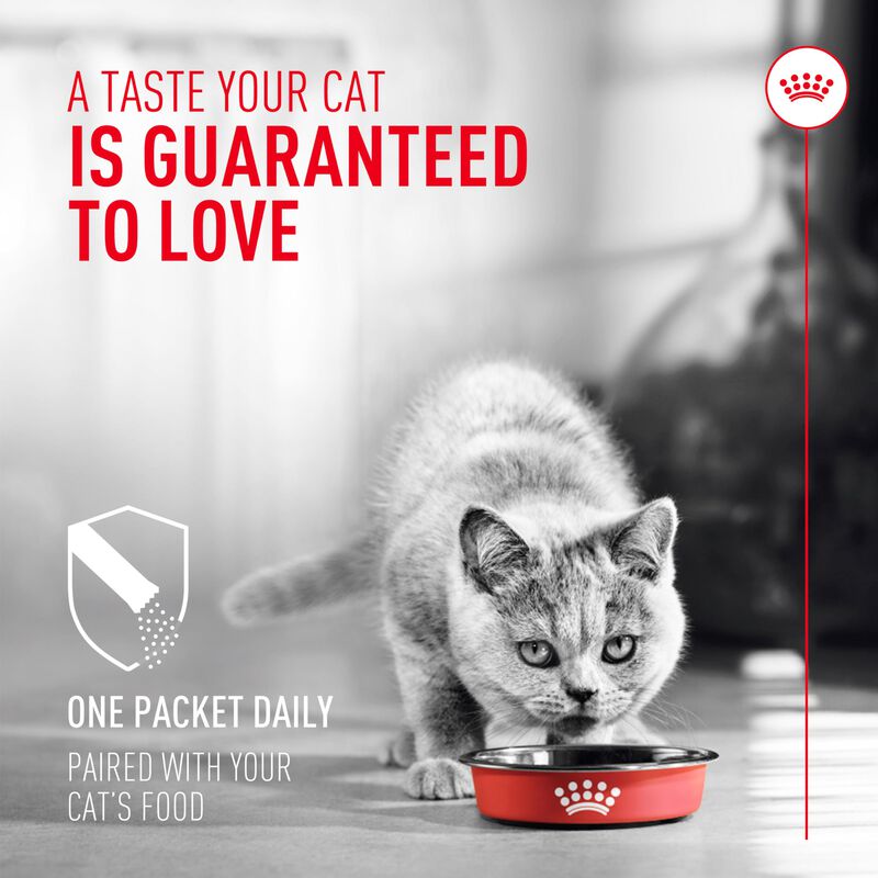Suplemento Royal Canin Probiotics Digestive Imm... image number null