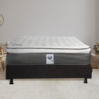 Colchón Queen Size Spring Air Phantom + Box Dicasa Belu + Almohada Osos + Protector Spring Air Supreme.