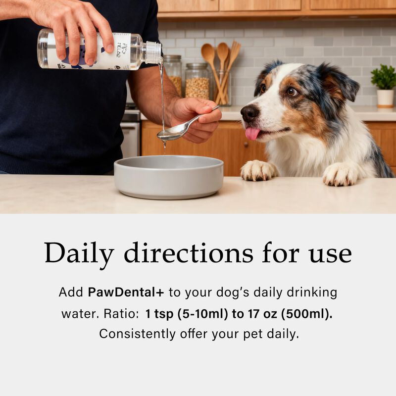 Aditivo Dental Para Perro Nayaboo 2 Botellas Al... image number null