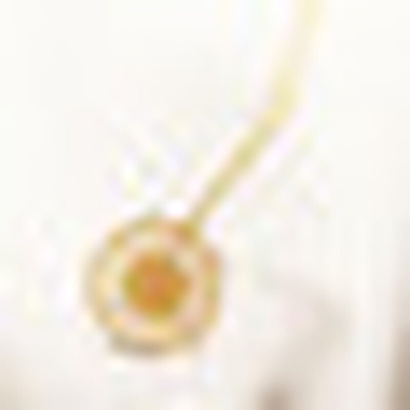 Dije Grande Girasol de Plata y Cadena con Ba&ntilde;o ... image number null