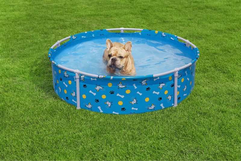 Alberca para mascotas, piscina estructural Best... image number null