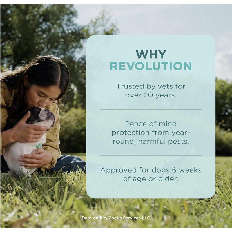 Revolution 12% (selamectina) 3 tubos x 2 ml (ve... image number null