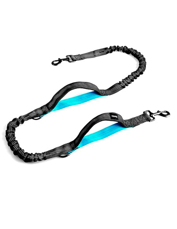 Doggy Go image number null