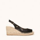 Clavel Cu&ntilde;a Media Napa Negro