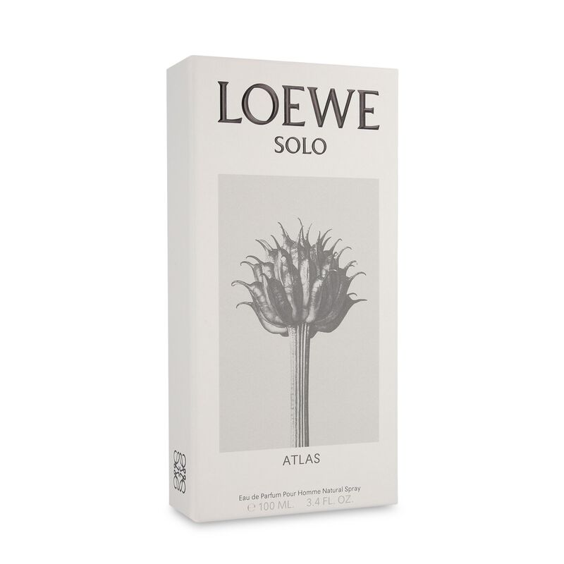 Loewe Solo Atlas 100Ml Edp Spray image number null