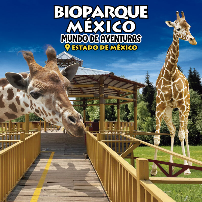Pasaporte Bioparque image number null