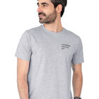 Playera Caballero Basica Premium Estampado Gris Roosevelt C347
