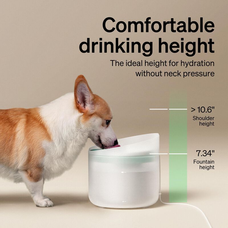 Filtros De Repuesto Petlibro Capsule Dog Founta... image number null