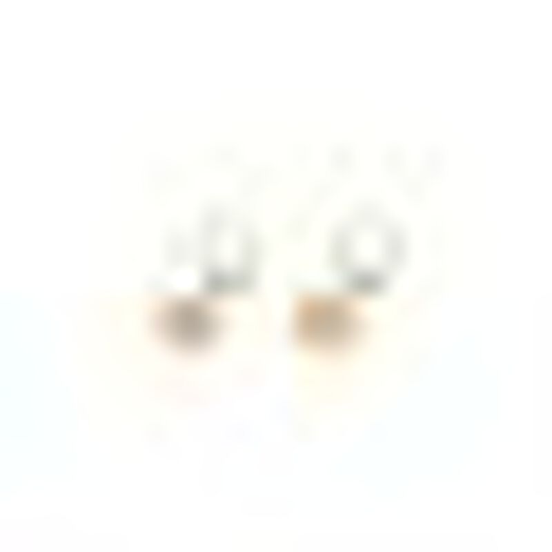 Grapa de mariposa con piedra rosa image number null