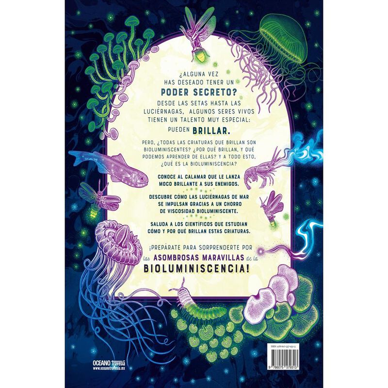 Brillo image number null