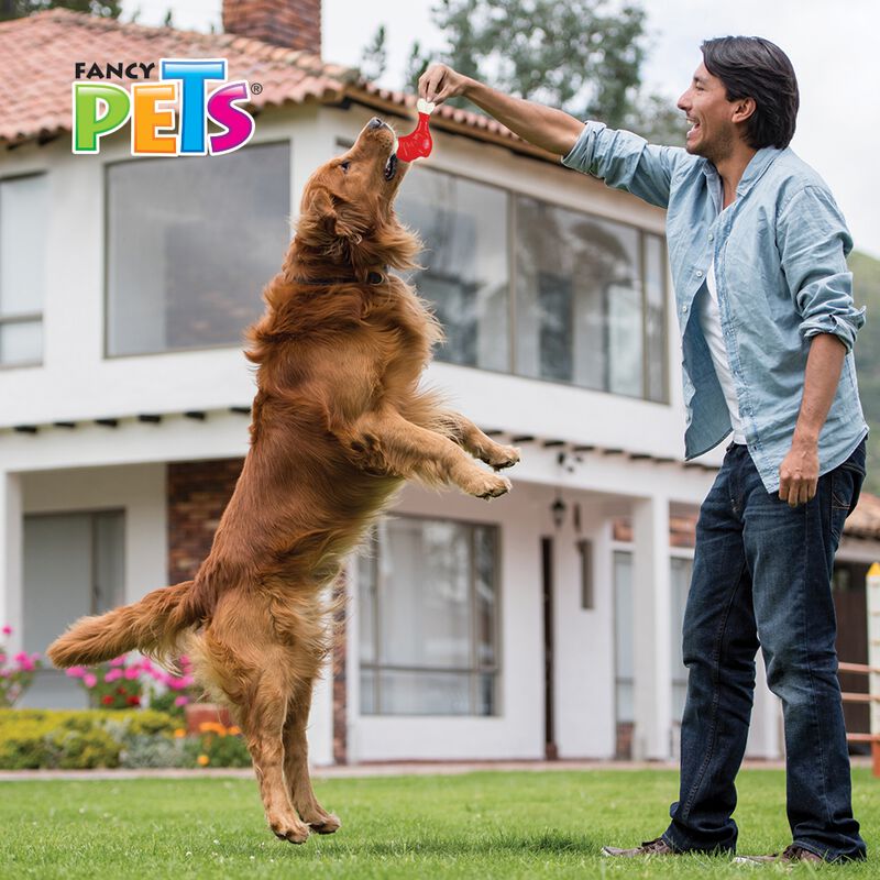 Fancy Pets Juguete Dental en Forma de Pierna de... image number null