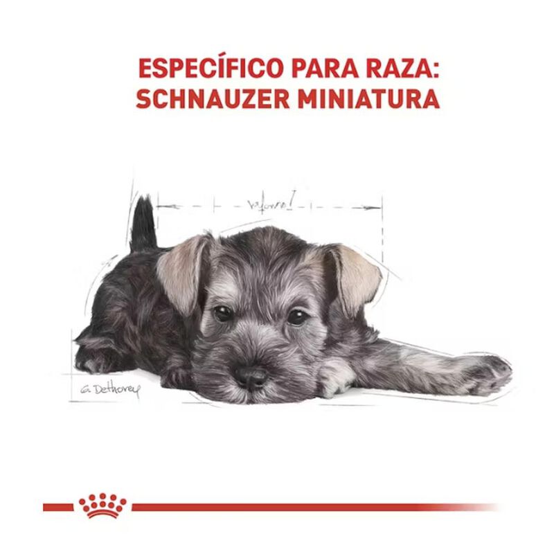 Royal Canin Bhn Miniature Schnauzer Puppy 1.14 ... image number null