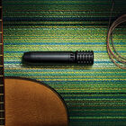 Microfono para Instumento Shure PGA81