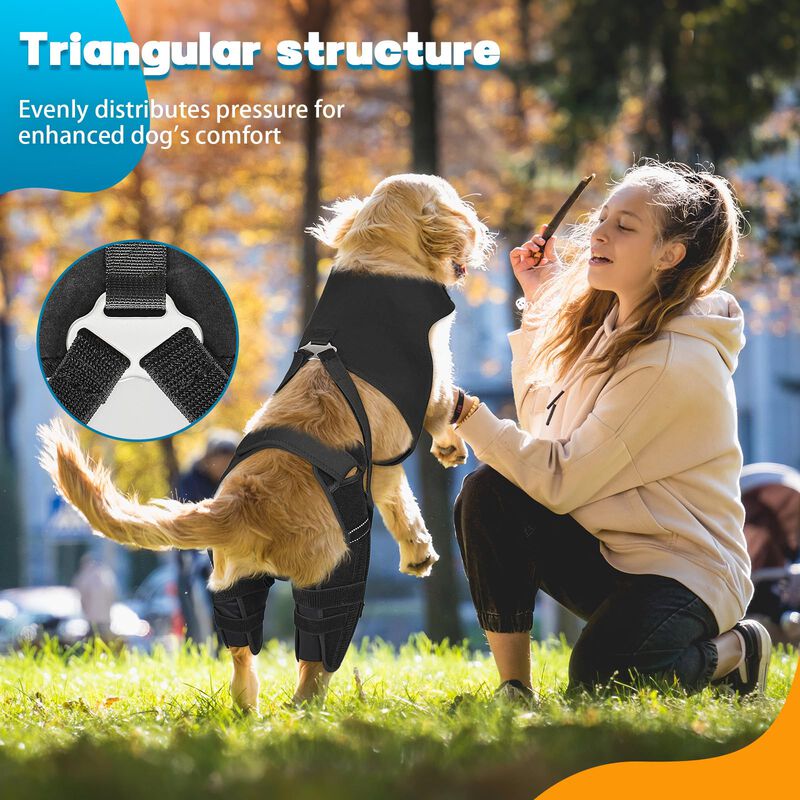 F&eacute;rula De Rodilla Para Perro Marnonsis 3xl Con ... image number null