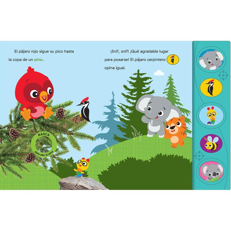 Baby Einstein: Sigue tu nariz! image number null