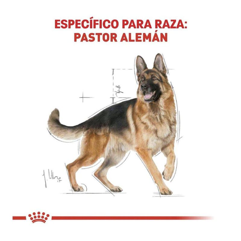Royal Canin Bhn German Shepherd 13.6 Kg Origina... image number null