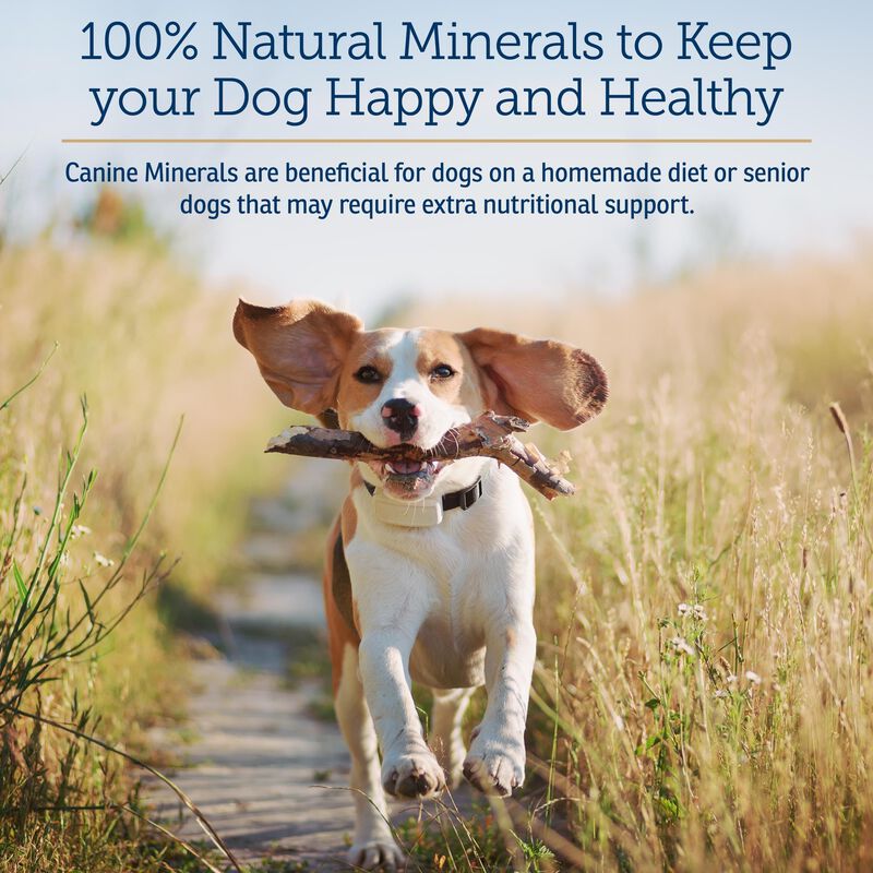 Suplemento En Polvo De Minerales Para Perros Rx... image number null