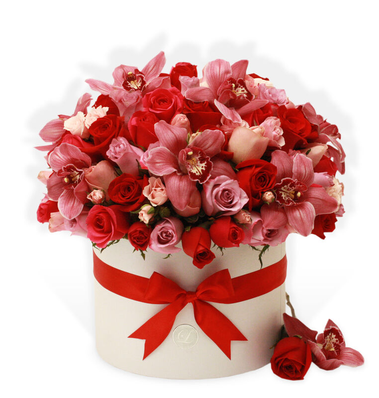 Michelle image number null