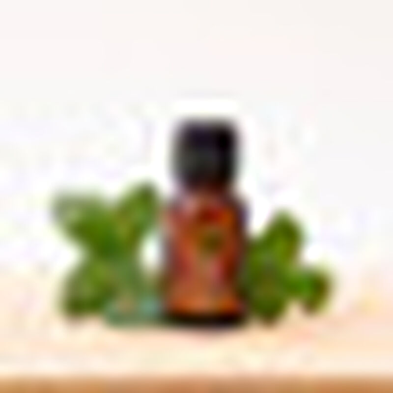 Aceite Esencial Puro Menta 15 ml 100% Puro y Or... image number null