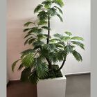 Maceta con Arbol Tipo Palma