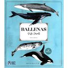 Ballenas. Vida secreta