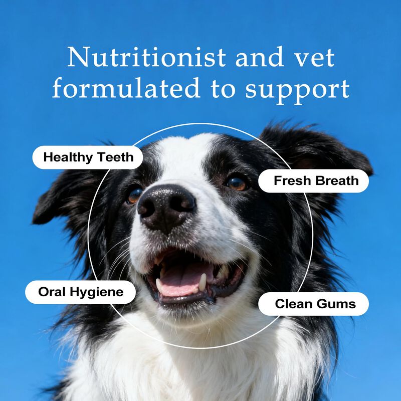 Aditivo Dental Para Perro Nayaboo 2 Botellas Al... image number null