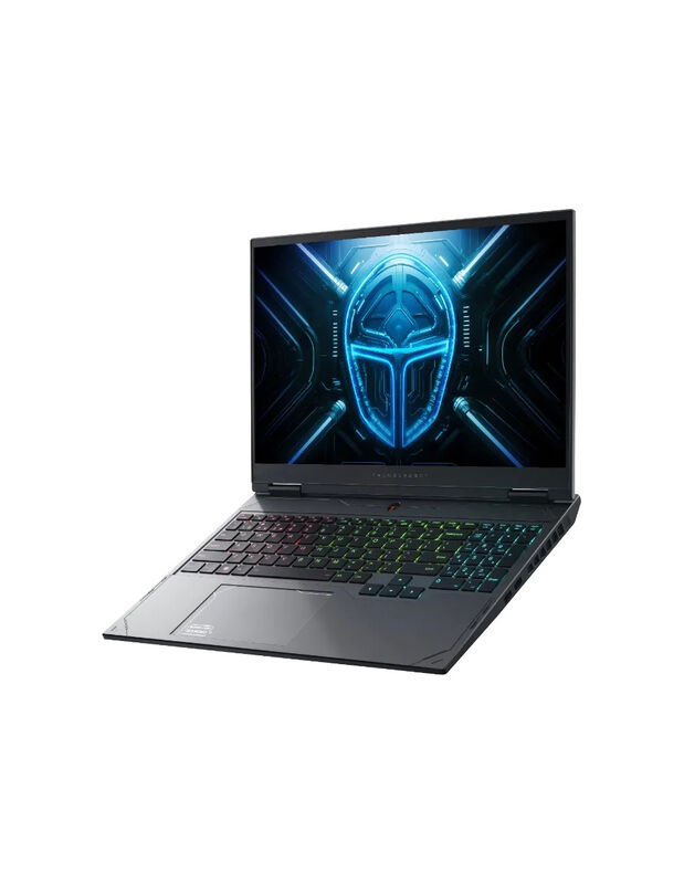 Laptop Thunderobot Radiant 16 I9-13900hx Rtx506... image number null