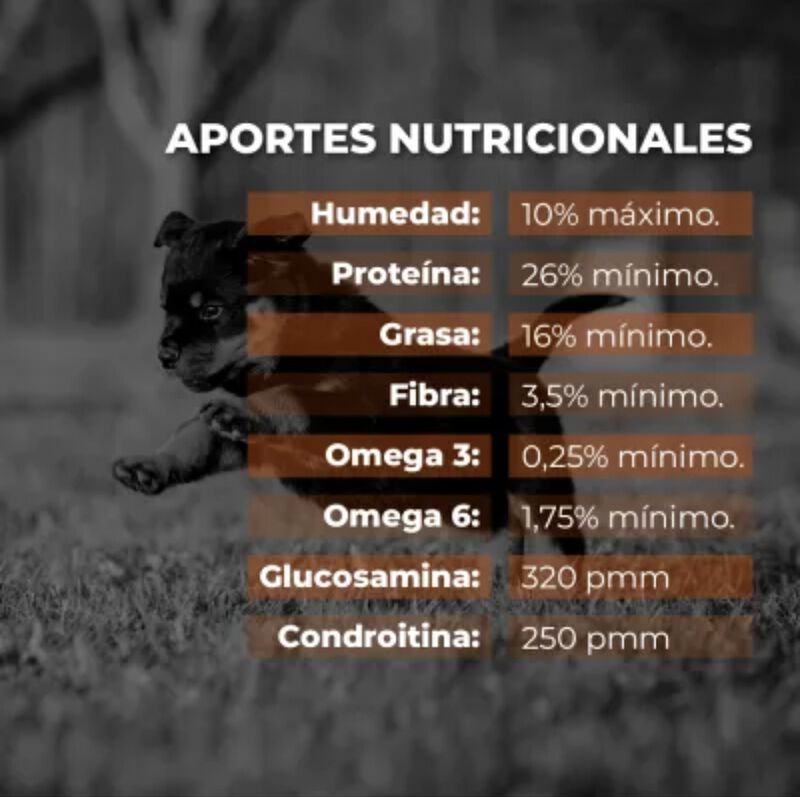Proseries Cachorros Y Hembras Gestantes2.72 Kg image number null