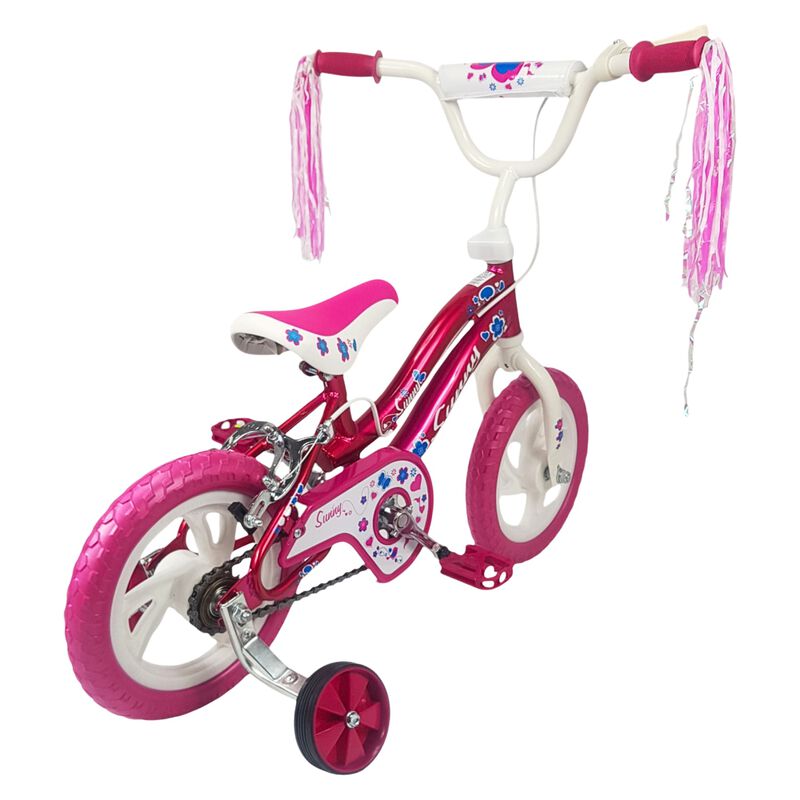 Bicicleta Infantil Rodada 12 Con Ruedas De Entr... image number null
