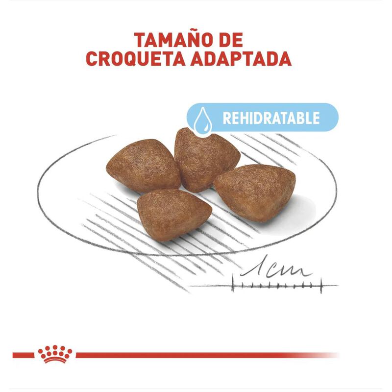 Royal Canin Small Starter Mother & Baby 6.36 Kg image number null