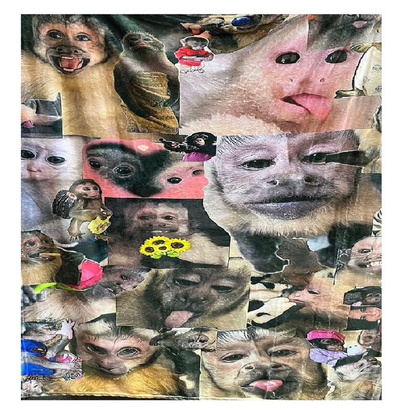 Exclusiva! Cobija Frazada Ultra Suave Goku Chan... image number null